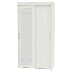 Шкаф-купе T-1-230х120х60-M(ВД-1)