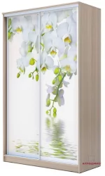Шкаф-купе Хит-24-17-77 Орхидея Ясень шимо светлый