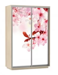 Шкаф-купе двухдверный Экспресс Дуо 1600х2200h Сакура/Ясень шимо светлый