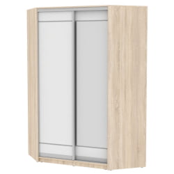 Шкаф-купе YA-230х1400-568-1(ДСС-Белый-D1D2)