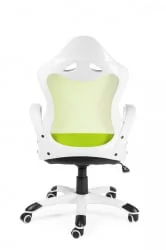 Кресло офисное Тесла CX0398H01 White green