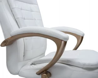 Офисное кресло для руководителей DOBRIN DONALD Белый