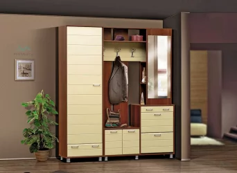 Набор для прихожей Визит - 11