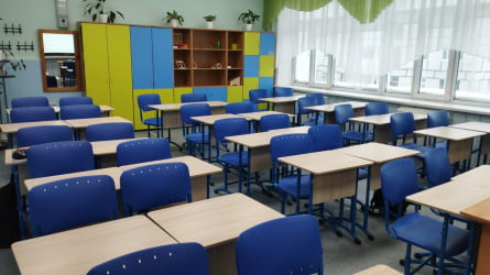 Стол ученический 2-местный регулируемый (рост 5-7) 1200х500 мм ЛДСП Ясень шимо светлый/Металл Серый