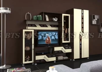 Гостиная Зодиак со шкафом