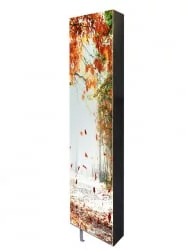 Шкаф Драйв Шелф Арт (левый) Беленый дуб