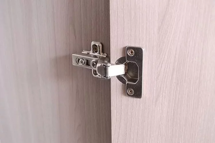 Шкаф двухстворчатый Ольга 3 Ясень шимо светлый Венге_2