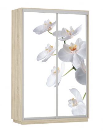 Шкаф-купе двухдверный Экспресс Дуо 1400х2200h Белая орхидея/Дуб сонома_0