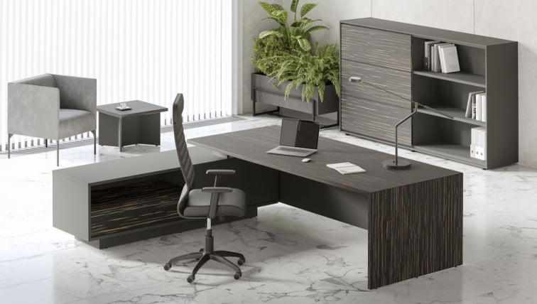 Кабинет руководителя DALI №01 Эбен Антрацит_0