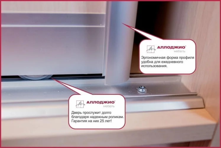 Шкаф-купе Хит-23-17-15 Аруба Венге_7