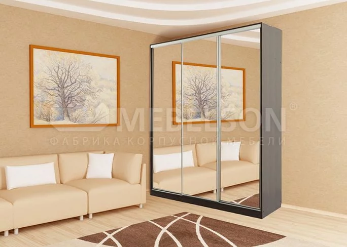 Шкаф-купе Бассо 4-600 Венге_1