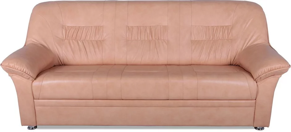 Диван Карелия 3х местный (Терра 106)_0