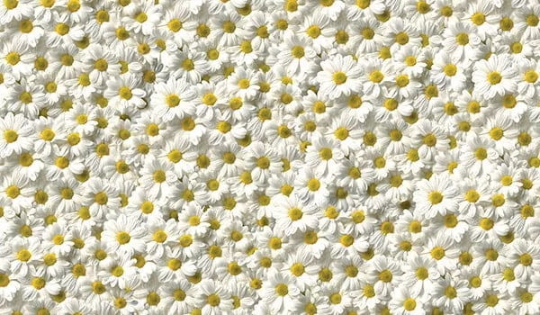 Стол обеденный Прямоугольный 900 600 фп Ромашки Д006 ЛДСП серый_2