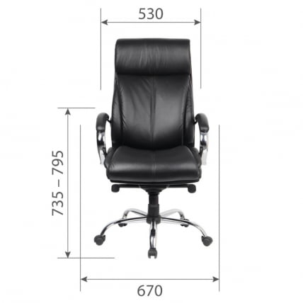 Кресло для руководителя CHAIRMAN CH423 экокожа Черный_3