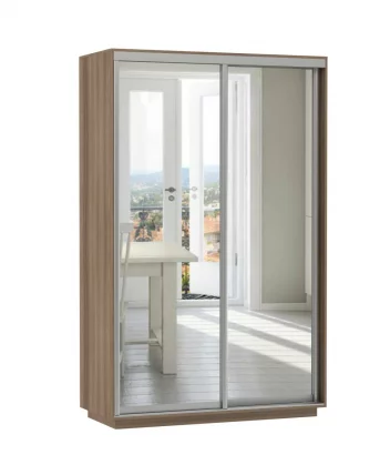 Шкаф-купе двухдверный Экспресс Хит Экспенс Ясень шимо темный_0