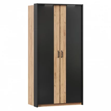 Шкаф двухстворчатый с комбинированными дверями и паспарту Техно 041 Дуб Золотой Черный_0