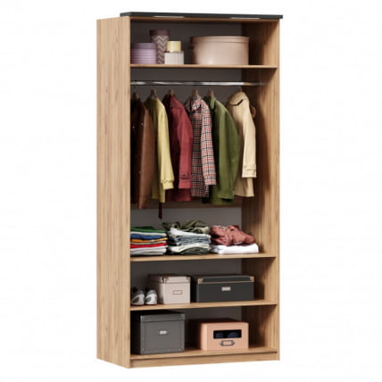 Шкаф двухстворчатый с комбинированными дверями Техно ЛД 678.130.000.001 Дуб Золотой Черный_1