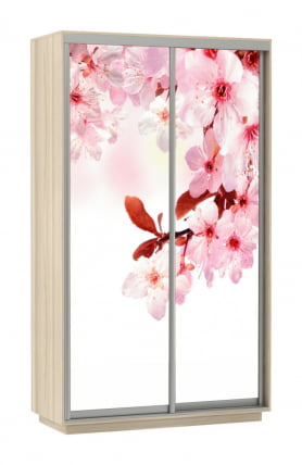Шкаф-купе двухдверный Экспресс Дуо 1200х2400h Сакура/Ясень шимо светлый_0