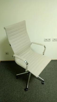 Кресло руководителя Everprof Rio М экокожа Бежевый_7