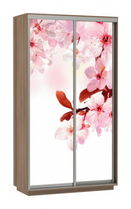 Шкаф-купе двухдверный Экспресс Дуо 1200х2400h Сакура/Ясень шимо тёмный_0