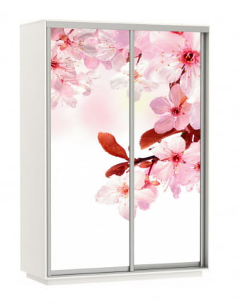 Шкаф-купе двухдверный Экспресс Дуо 1400х2400h Сакура/Белый снег_0