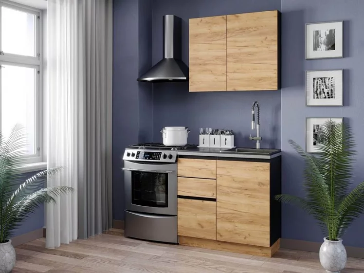 Тумба кухонная 500 Шервуд ЛД 281.040.000.004 Черная Дуб золотой_2