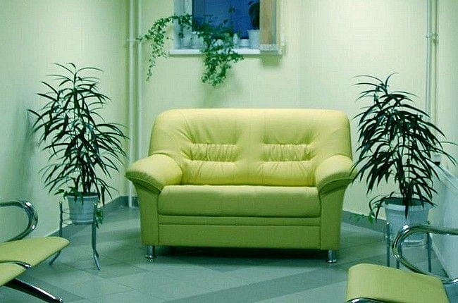 Диван Карелия 2х местный (Терра 111)_2