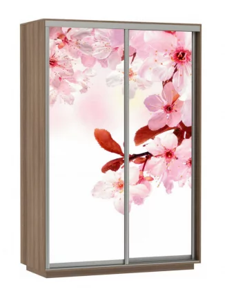 Шкаф-купе двухдверный Экспресс Дуо 1600х2200h Сакура/Ясень шимо тёмный_0