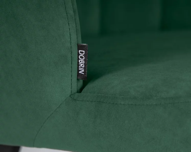 Стул обеденный DOBRIN NAOMI (ЭМАЛЬ ЧЕРНЫЙ МУАР велюр Catania Izumrud)_6