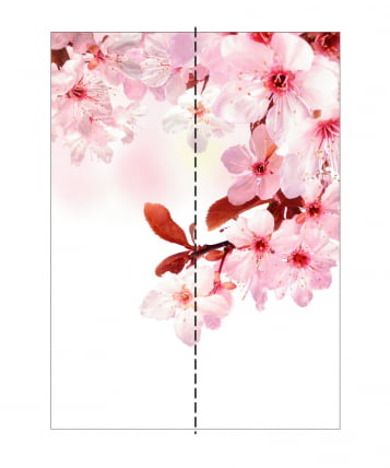 Шкаф-купе двухдверный Экспресс Хит Сакура/Венге_2