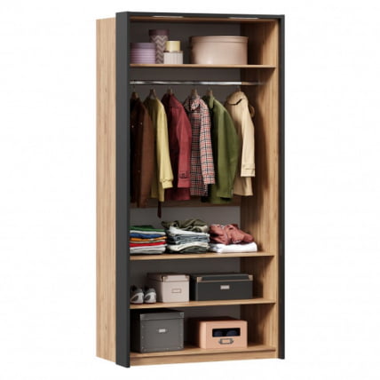 Шкаф двухстворчатый с паспарту Техно 03 Дуб Золотой_1