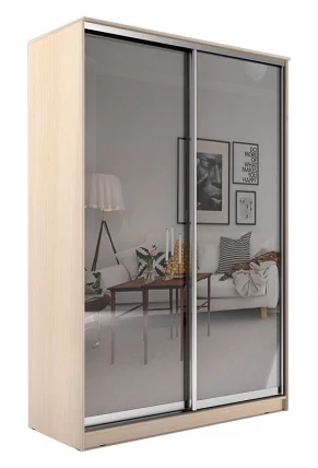 Шкаф-купе Хит-24-17-55 Дуб млечный_1