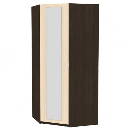 Шкаф распашный YR-230х1034-TR-M(Венге-ДМ-1)_0