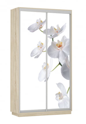 Шкаф-купе двухдверный Экспресс Дуо 1200х2200h Орхидея белая/Дуб сонома_0