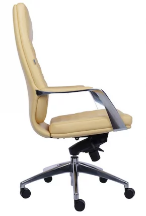 Кресло для руководителя Everprof Roma Экокожа Бежевый_1
