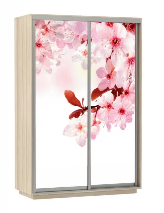 Шкаф-купе двухдверный Экспресс Дуо 1600х2200h Сакура/Ясень шимо светлый_0