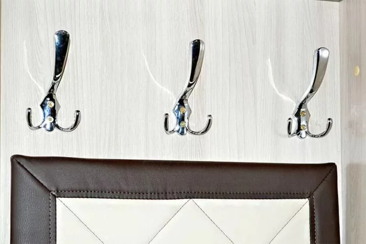 Прихожая Ольга 2 Ясень шимо светлый Венге_5