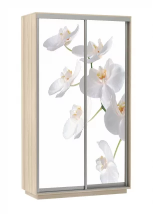 Шкаф-купе двухдверный Экспресс Хит Орхидея белая/Ясень шимо светлый_0