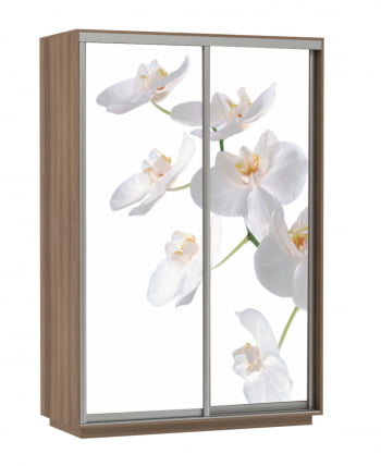 Шкаф-купе двухдверный Экспресс Дуо 1600х2400h Белая орхидея/Ясень шимо тёмный_0