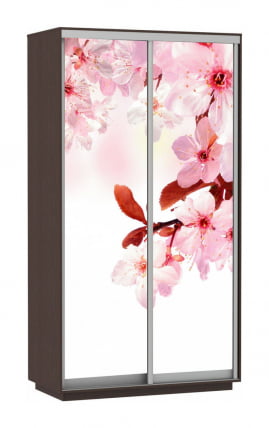 Шкаф-купе двухдверный Экспресс Дуо 1200х2400h Сакура/Венге_0