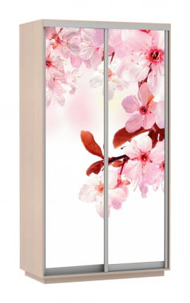 Шкаф-купе двухдверный Экспресс Дуо 1200х2400h Сакура/Дуб молочный_0