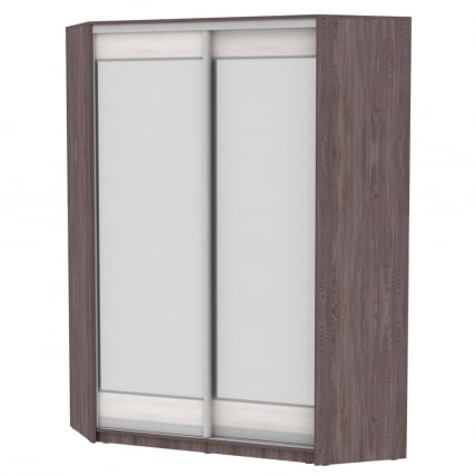 Шкаф-купе YA-198х1250-2(ЯАТ-ЯАС-D2D2)_0