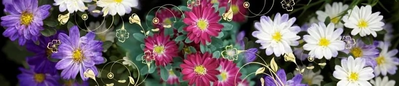 Глянцевый фартук с эффектом мерцания (КОМПОЗИТ) Герберы_0