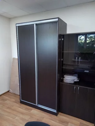 Шкаф-купе Рио-5 Венге_4