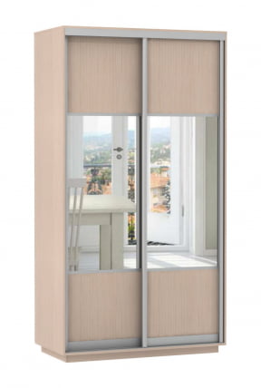 Шкаф-купе двухдверный Экспресс Хит Комби Дуб молочный_0