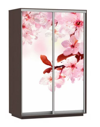 Шкаф-купе двухдверный Экспресс Дуо 1400х2400h Сакура/Венге_0