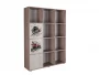 Стеллаж с фасадами ДМ 12 Ясень шимо темный/Венге_256864