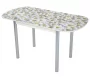 Стол обеденный Раздвижной ЕВРО фп Ромашки Д006 ЛДСП серый_92694